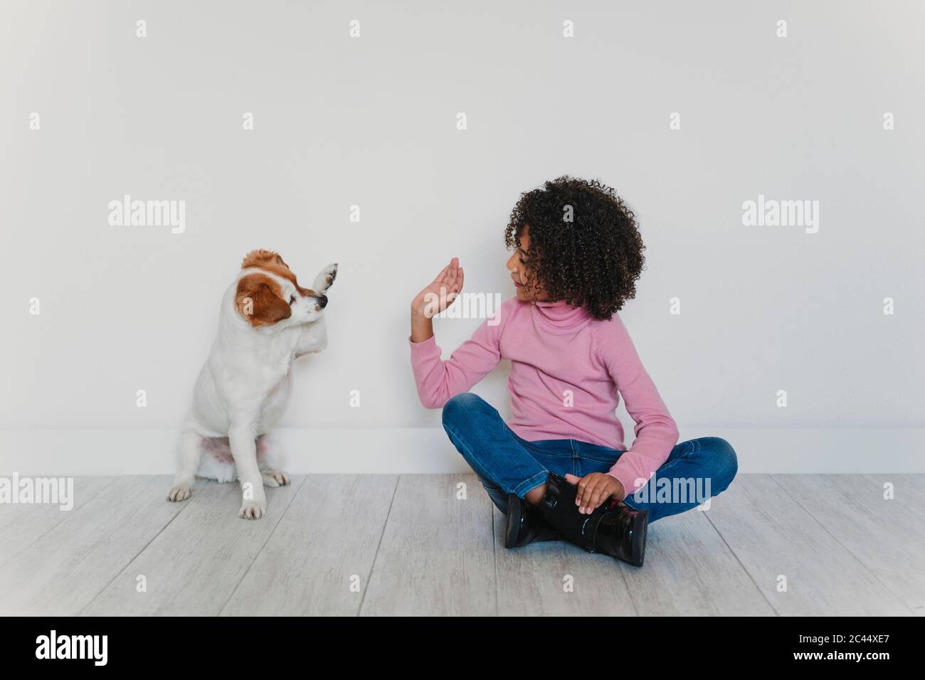 Petite fille assise sur le sol jouant avec son chien Banque D'Images