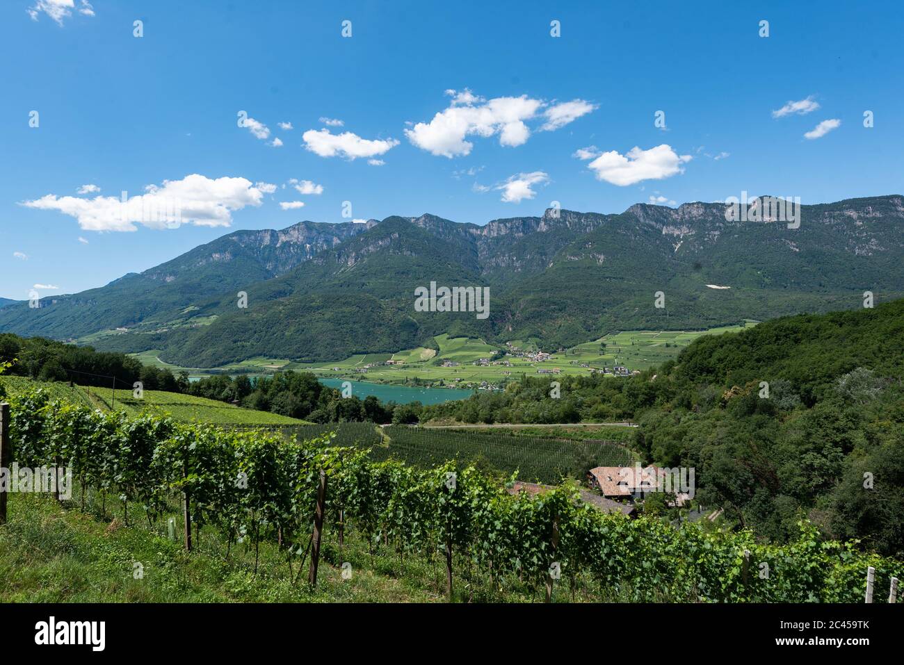 Kalterersee, Überetsch, Alto Adige, Italie Banque D'Images