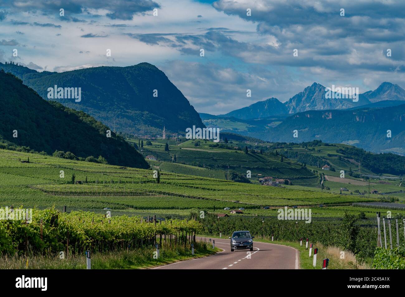 Tramin-Termeno, Überetsch, Alto Adige, Italie Banque D'Images