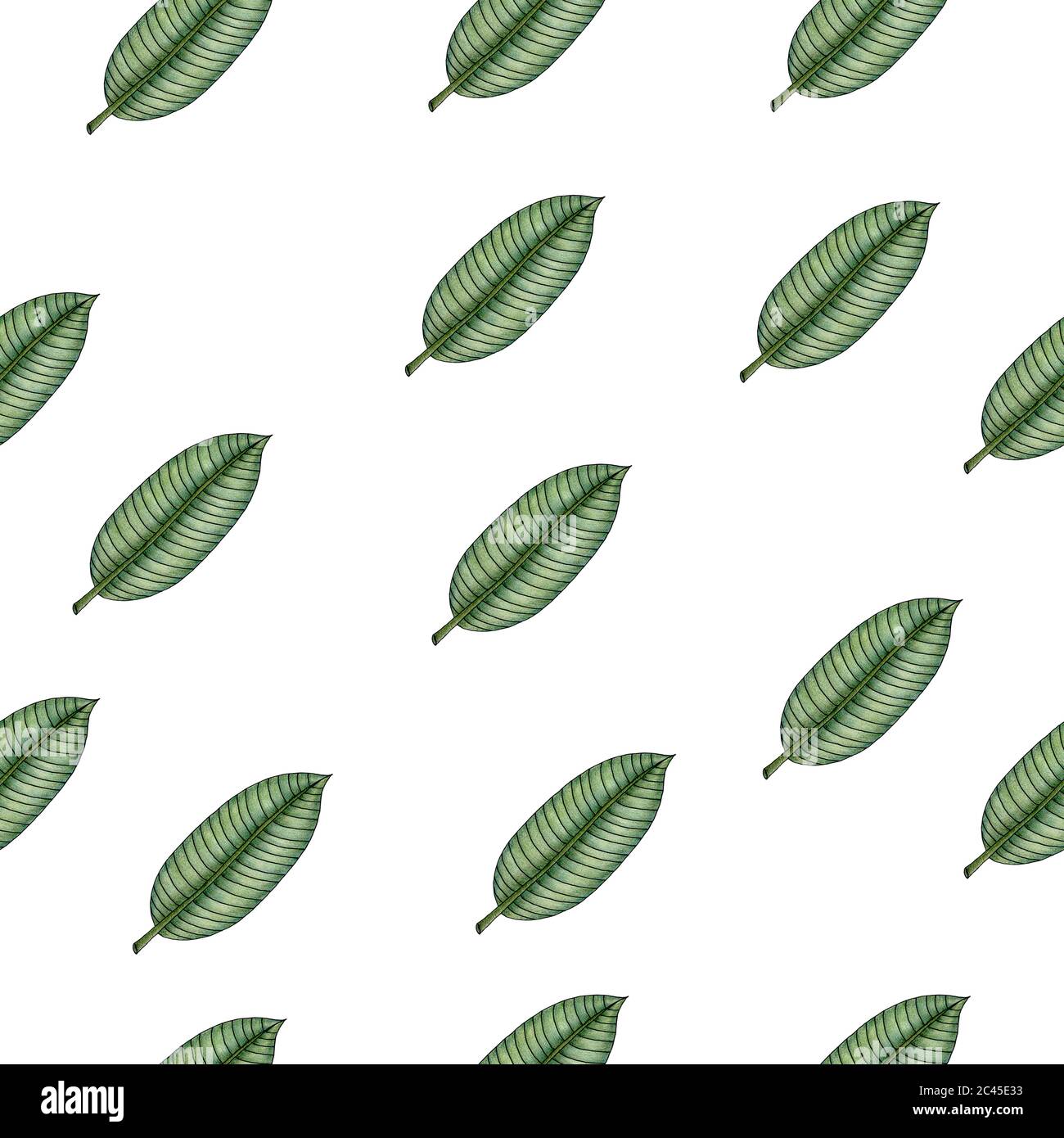 motif sans couture avec feuilles de banane tropicale, fond tropical d'été pour le tissu, l'emballage ou le papier peint, jolie illustration dessinée à la main Banque D'Images