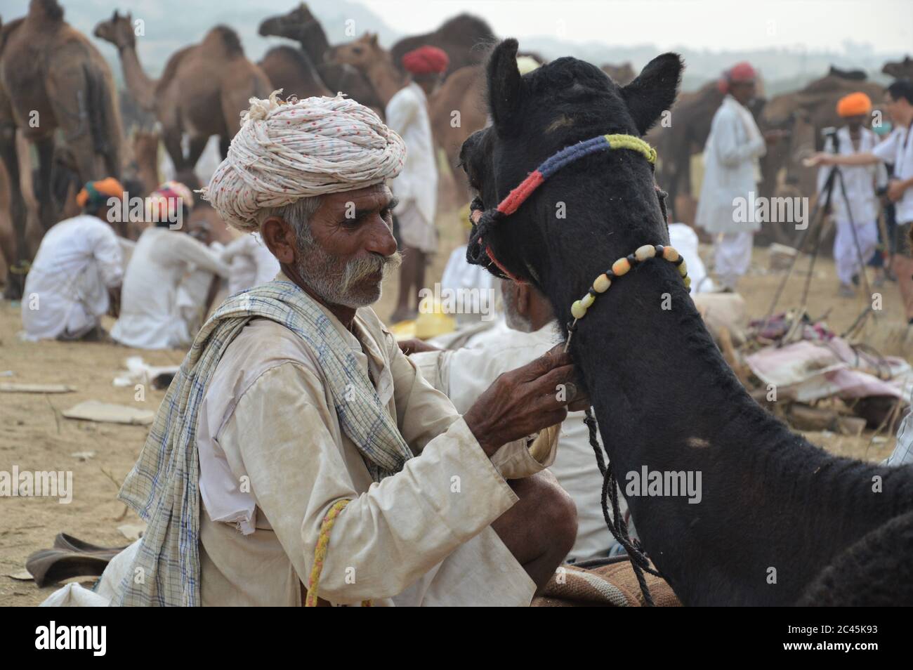 Foire de chameau de Pushkar, Inde Banque D'Images