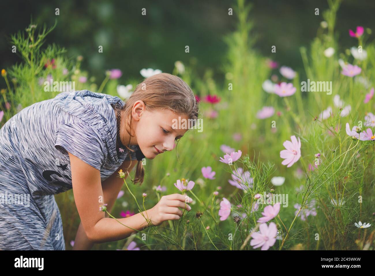 Jeune fille de fleur Banque de photographies et d’images à haute