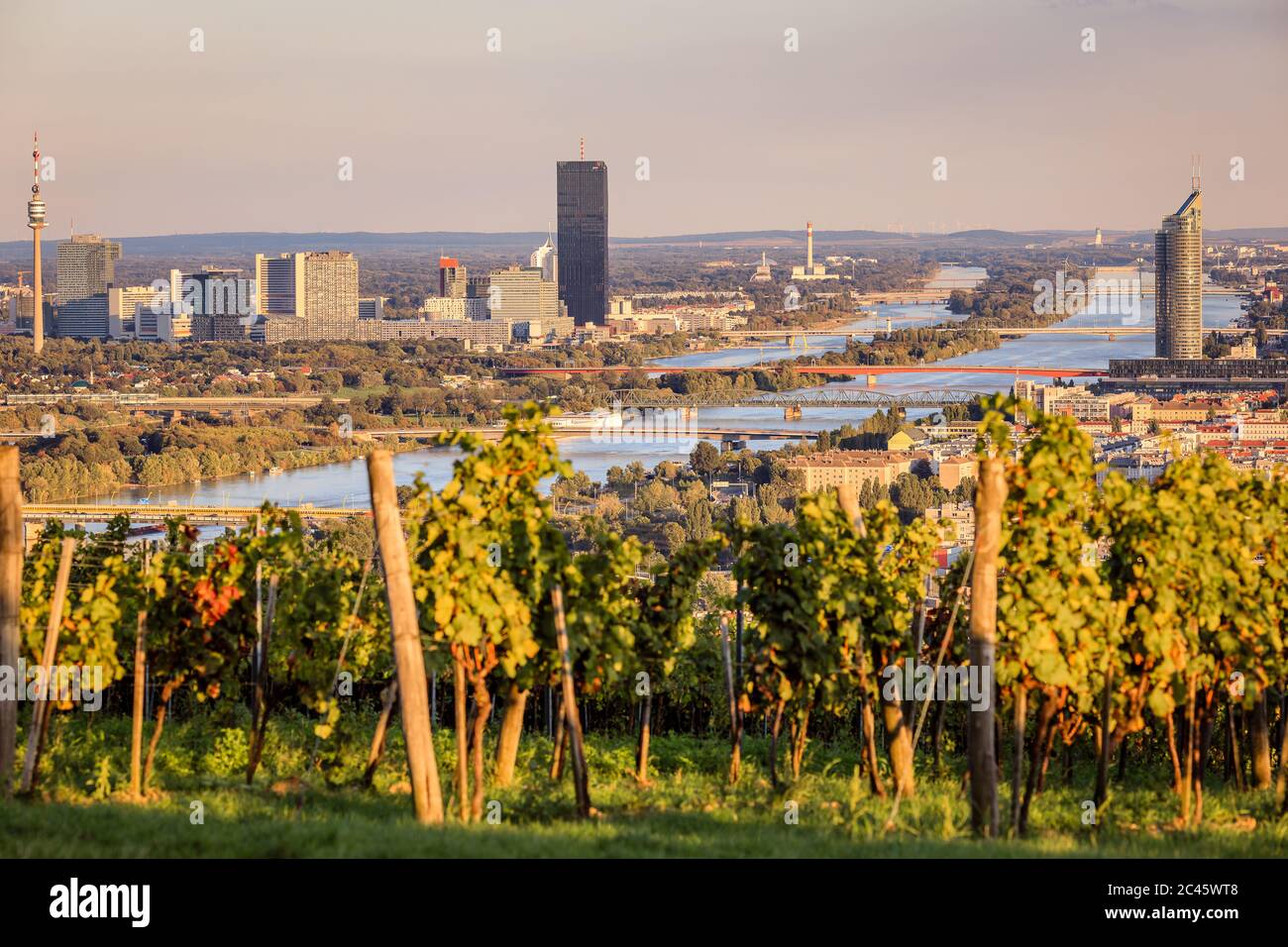 Vue sur le vignoble et le Danube en direction de Vienne et du Centre international de Vienne (VIC) Banque D'Images