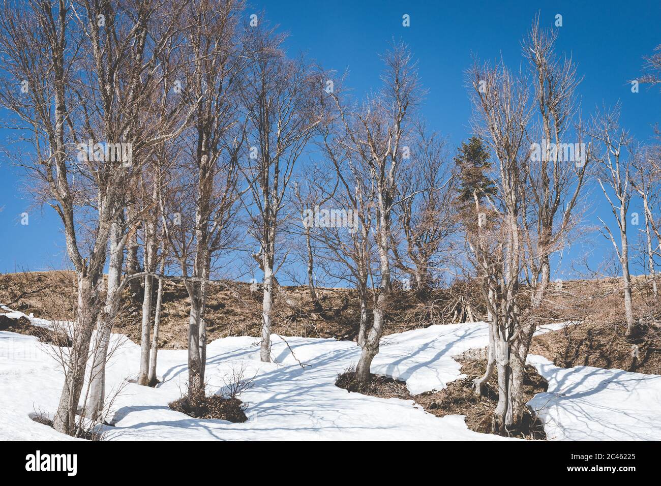 Paysage alpin de Puchberg am Schneeberg Banque D'Images