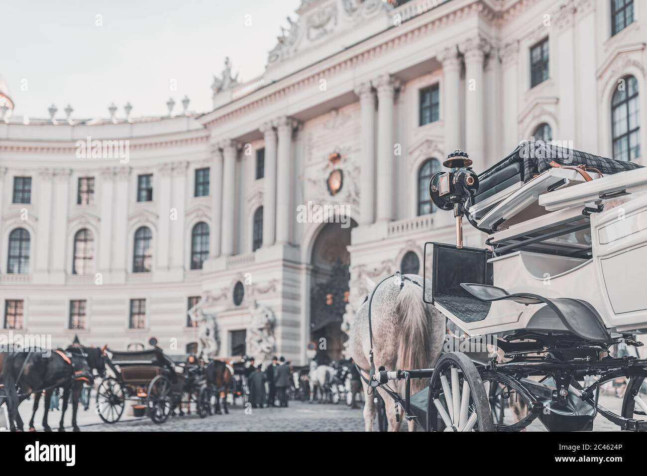 Fiaker de Vienne, calèche en face du Palais impérial - Hofburg Banque D'Images