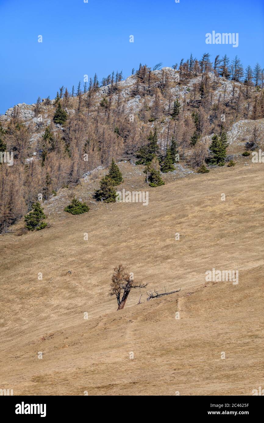 Paysage alpin de Puchberg am Schneeberg Banque D'Images