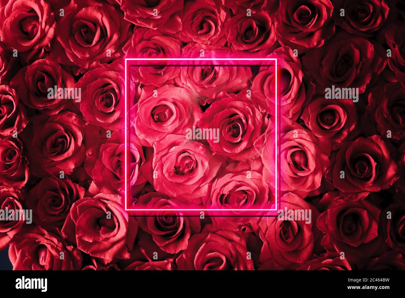 cadre de panneau néon avec fleurs roses rouges en arrière-plan. Espace de copie et publicité. Banque D'Images