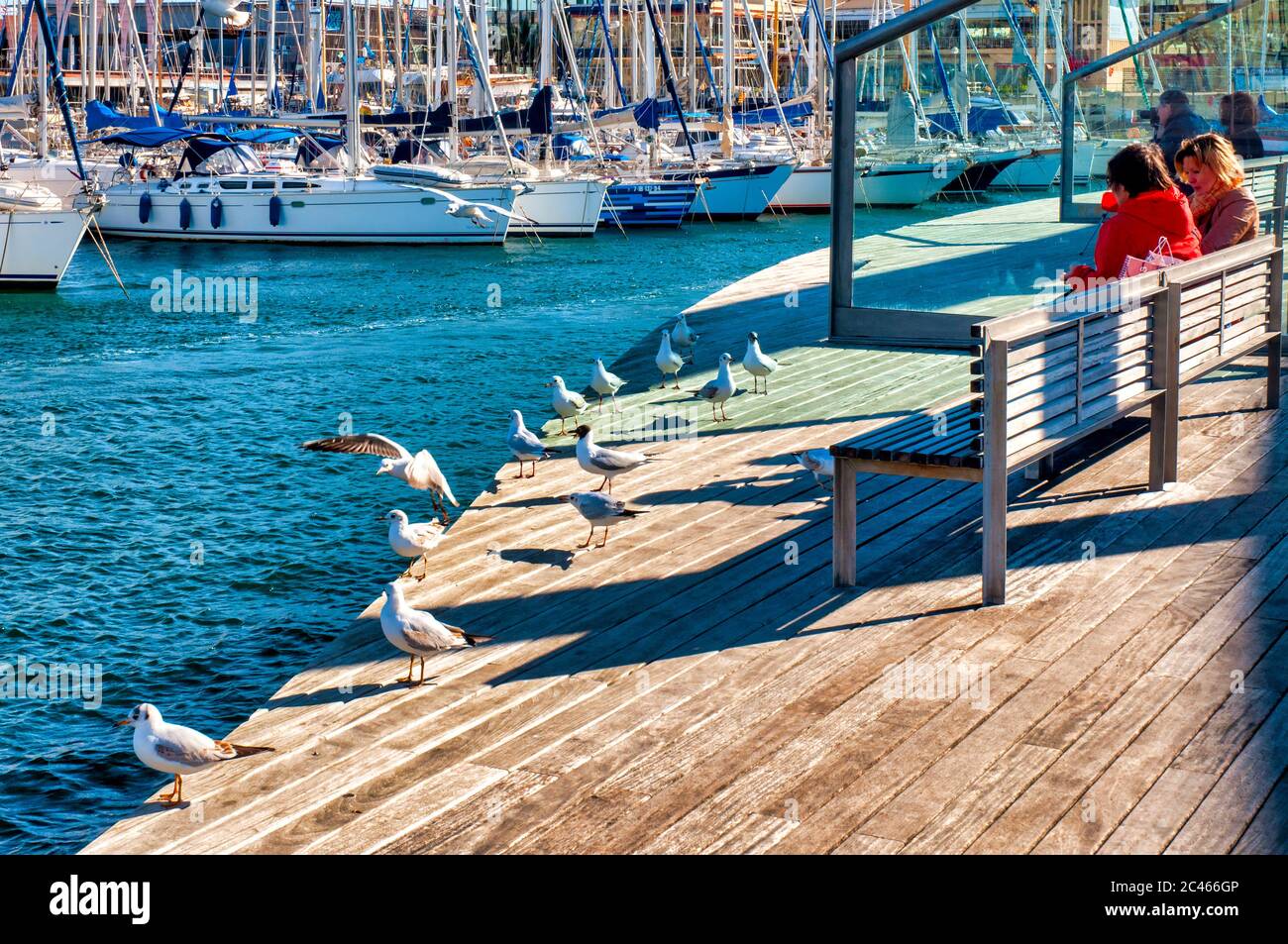 Banc et mouettes à Port Vell, Barcelone, Espagne Banque D'Images