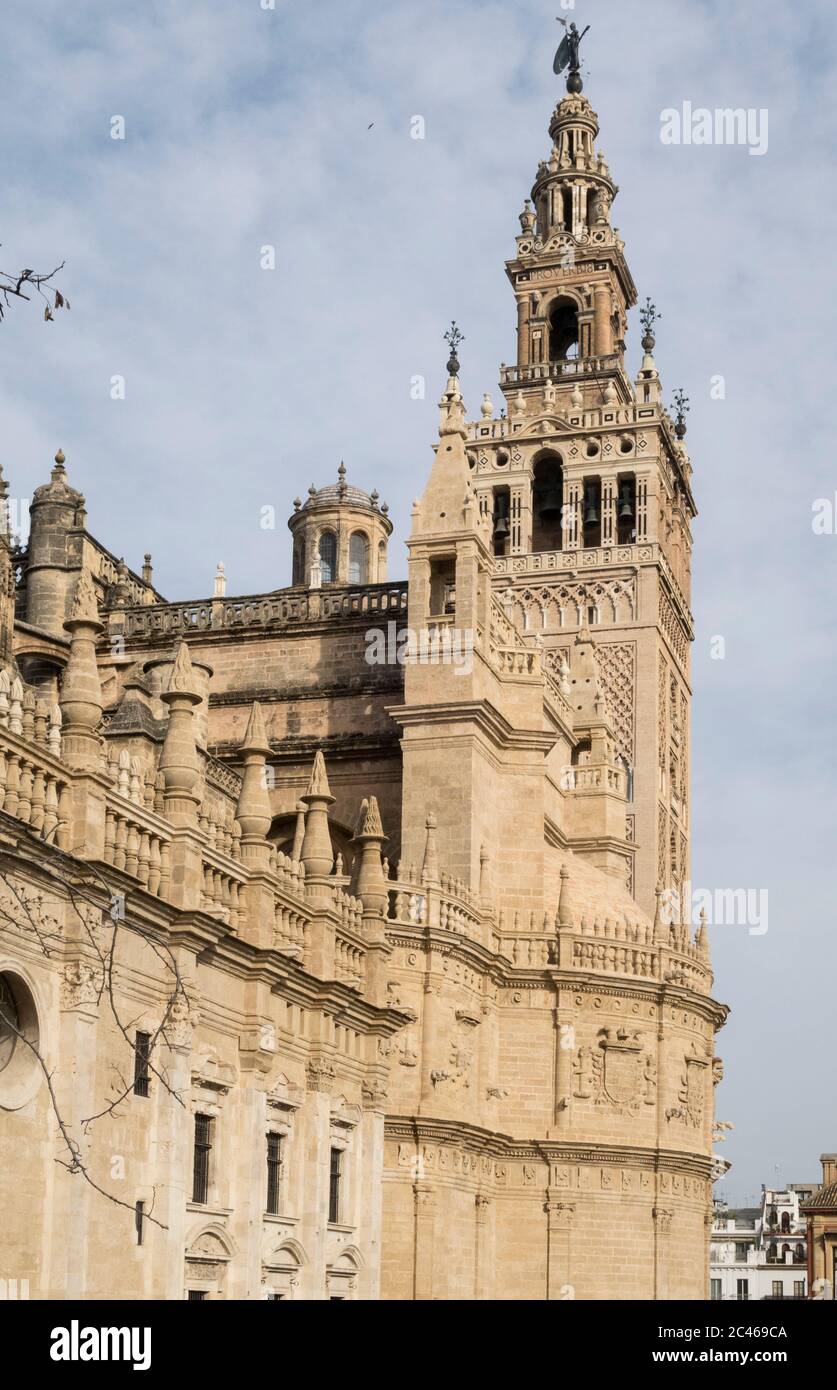 Cathédrale de Séville, cathédrale Saint-Marie ou la ville de See Banque D'Images