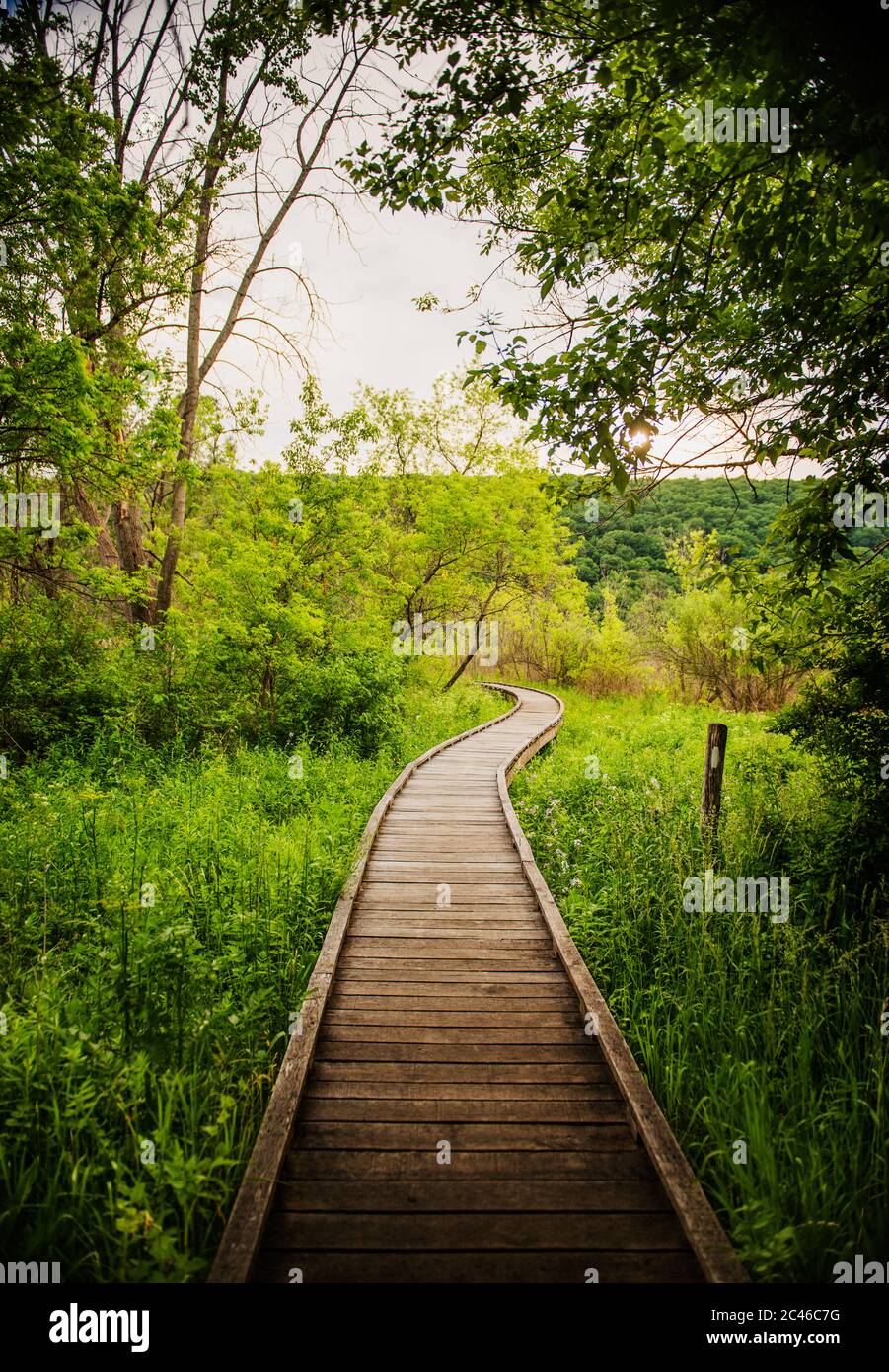 Sentier de randonnée à travers le sentier Appalachian Trail dans l'État de New York Banque D'Images