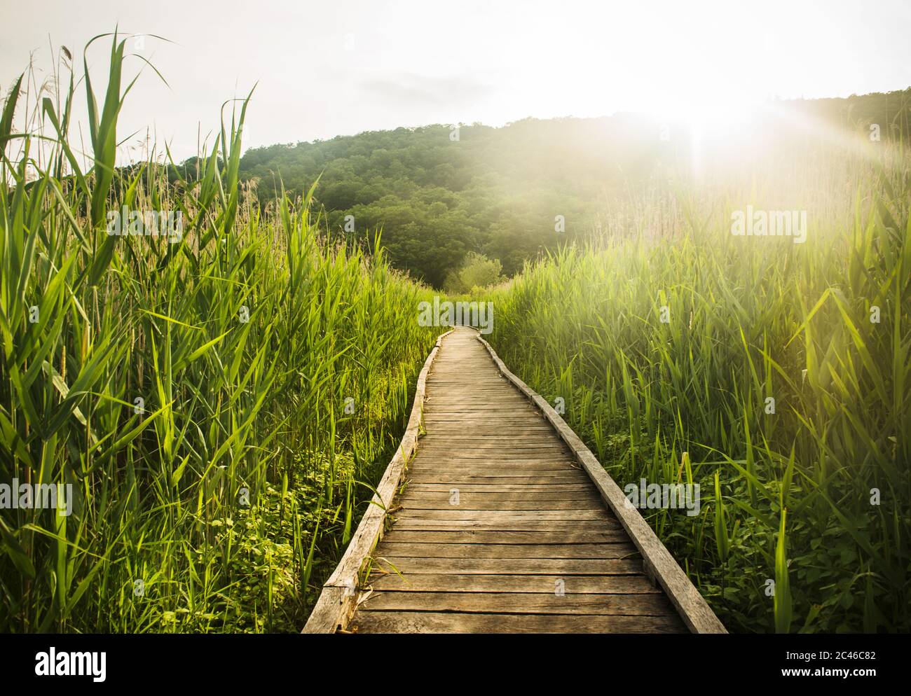 Sentier des Appalaches au printemps Banque D'Images