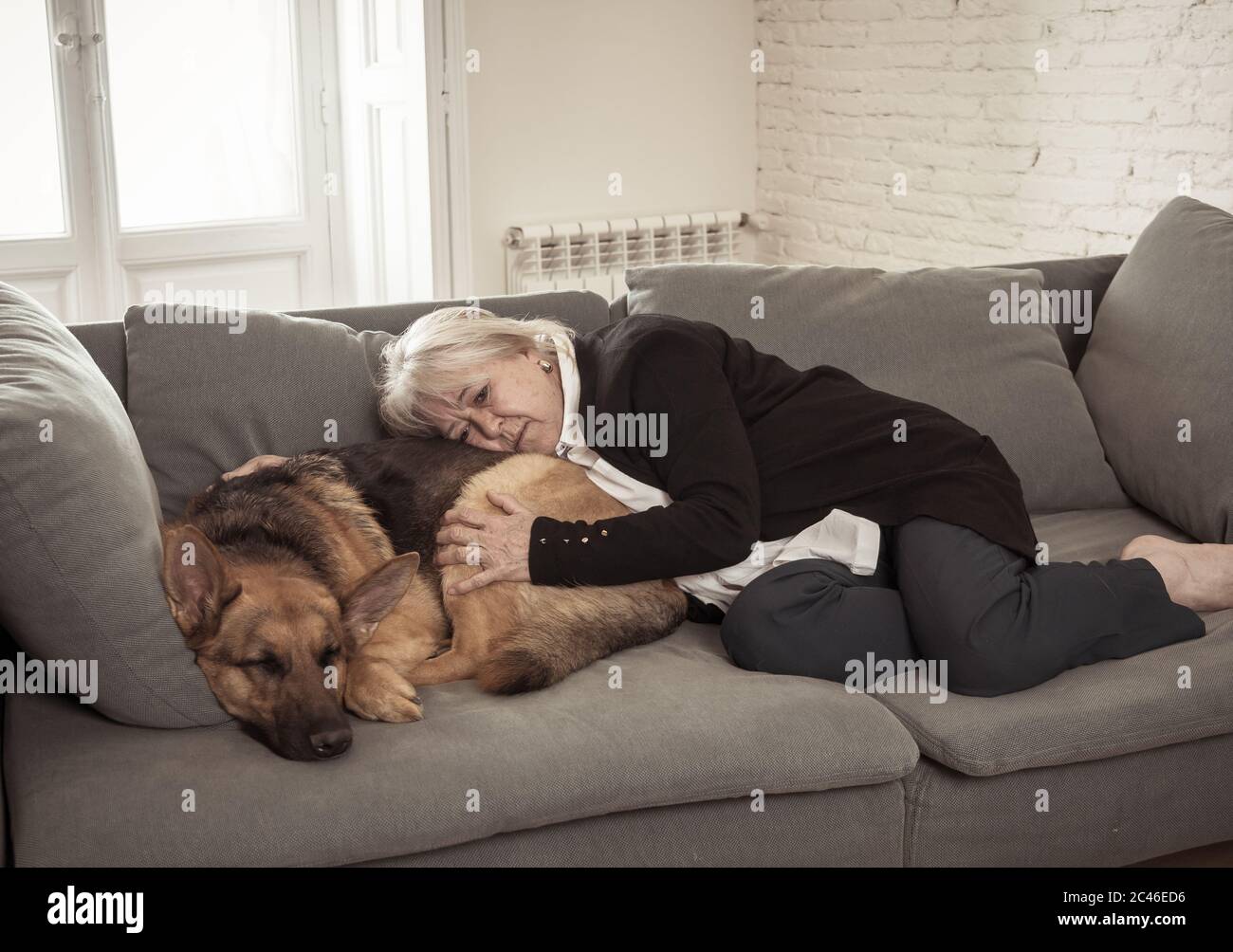 Une vieille femme âgée en dépression pleure sur le canapé avec un chien de compagnie comme compagnon. Veuf triste et fatigué en raison de la pandémie de COVID-19. Mort du coronavirus, verrouillage, Banque D'Images