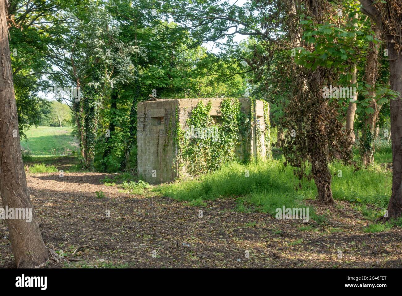 Une boîte à piliers hexagonale en béton défensif de la Seconde Guerre mondiale (type 22) sur le bord de Hounslow Heath, Hounslow, Londres, Royaume-Uni. Banque D'Images