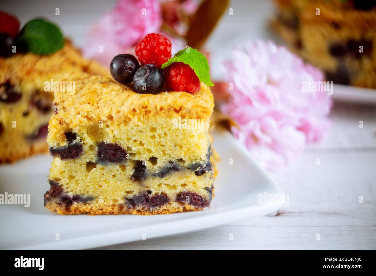 Morceau de gâteau à la crème sure aux myrtilles avec baies fraîches sur assiette sur fond blanc. Banque D'Images