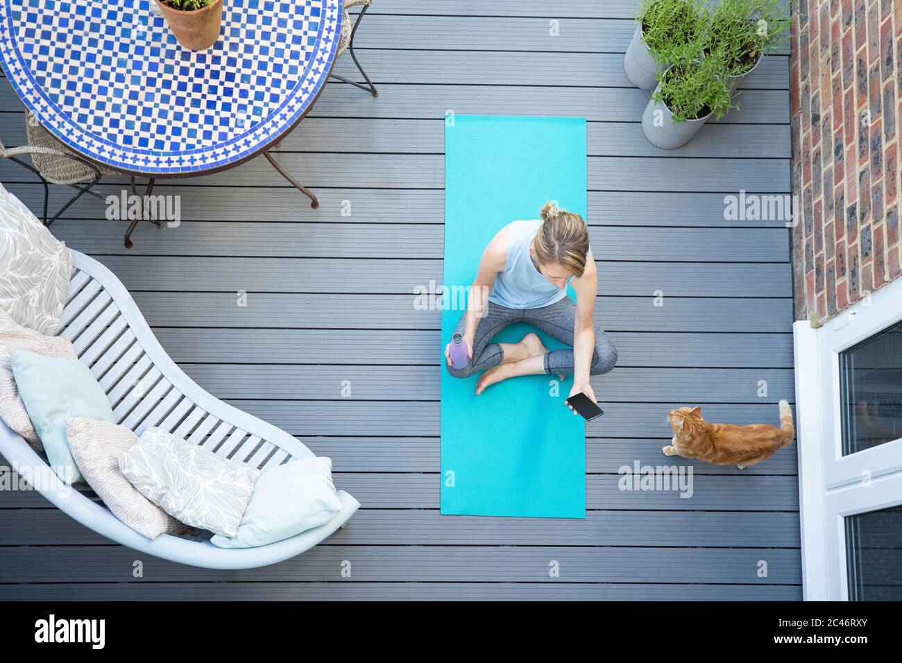 Vue aérienne de la femme adulte avec chat d'animal à la maison vérifier téléphone après l'exercice sur le pont Banque D'Images