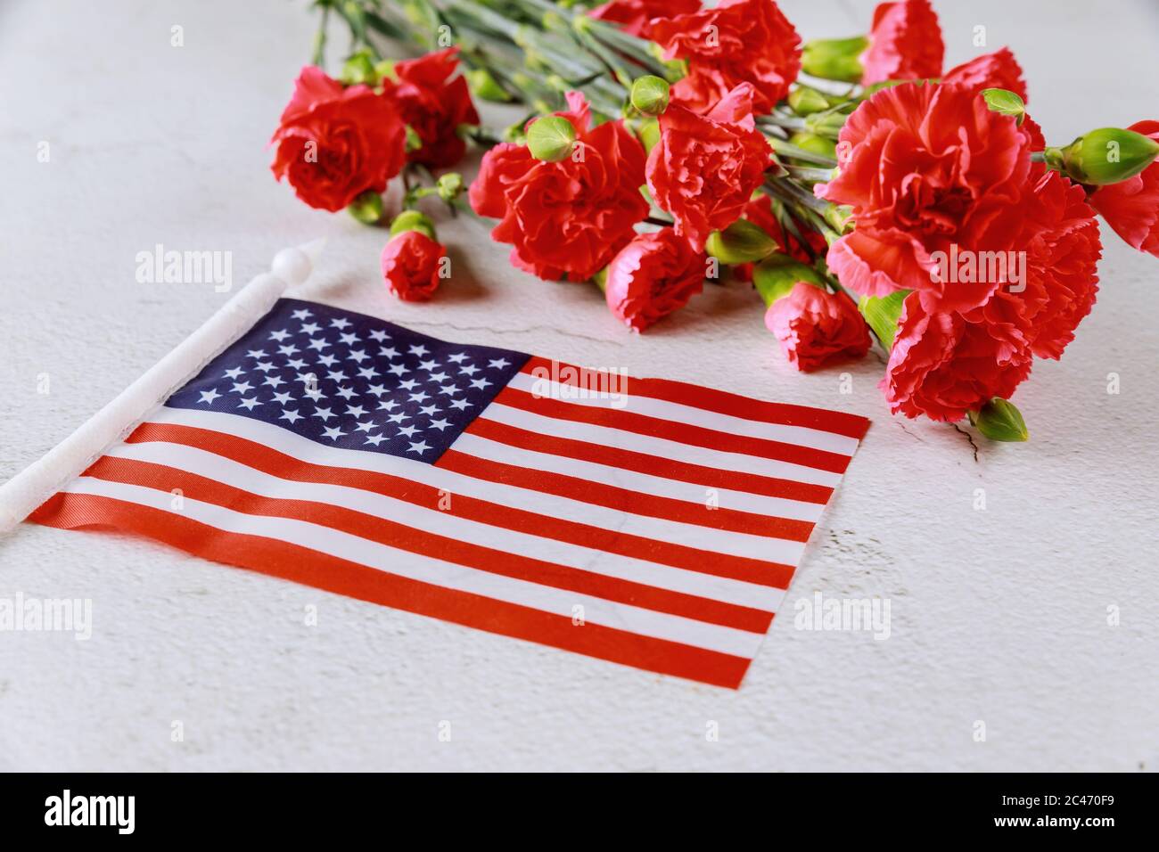 Fleurs Rouges Des Patriotes Drapeau américain et fleurs rouges sur fond blanc. Symbole des États ...