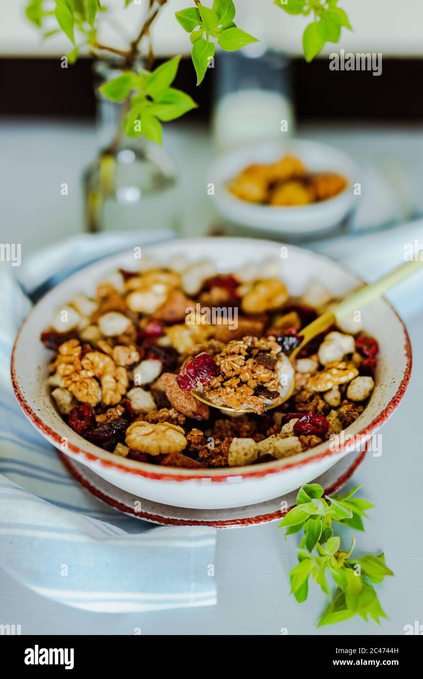 Un gros plan d'un bol de granola avec des noix, du chocolat et des canneberges séchées, une bouteille de lait, un petit bol avec des noix, une serviette, une branche verte. Une cuillère pleine Banque D'Images