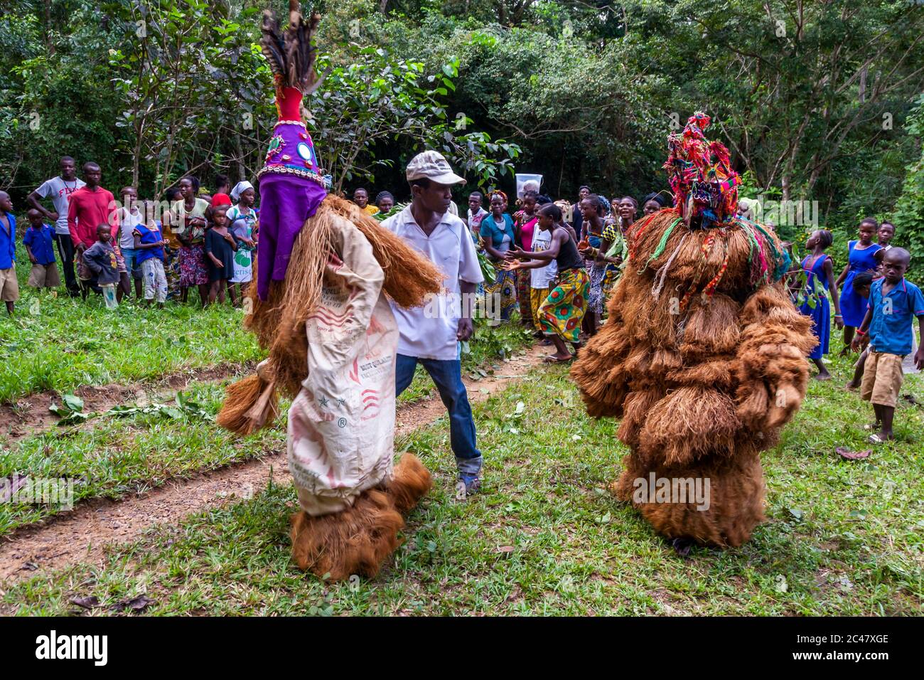 Les mende dansent avec le masque gbeni dans la forêt tropicale de Gola Banque D'Images