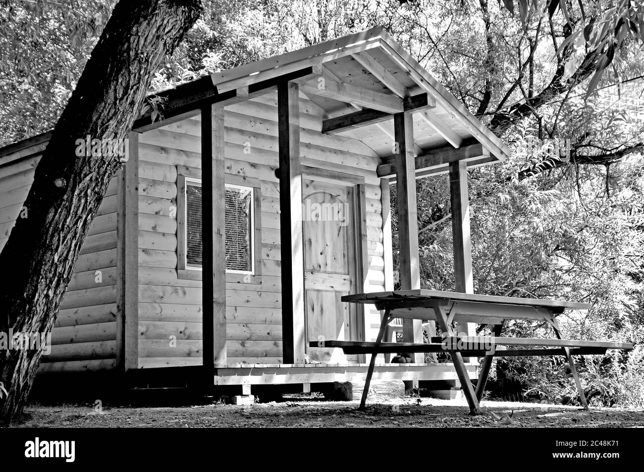 Prise de vue en niveaux de gris d'une ancienne cabine en bois entourée de magnifiques arbres Banque D'Images