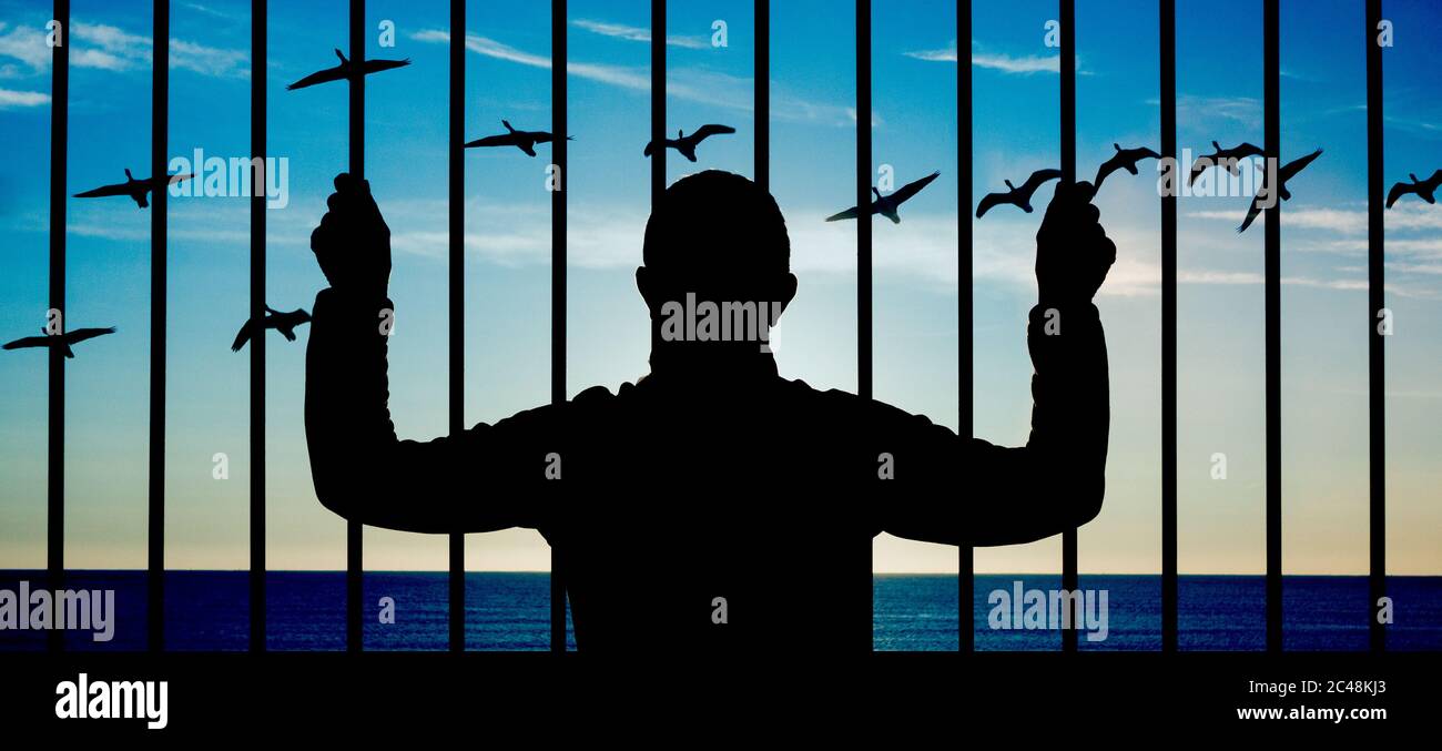 Silhouette d'homme regardant à travers des barres d'acier avec des oiseaux volant en arrière-plan. Dépression, santé mentale, demandeur d'asile, immigration... image conceptuelle. Banque D'Images