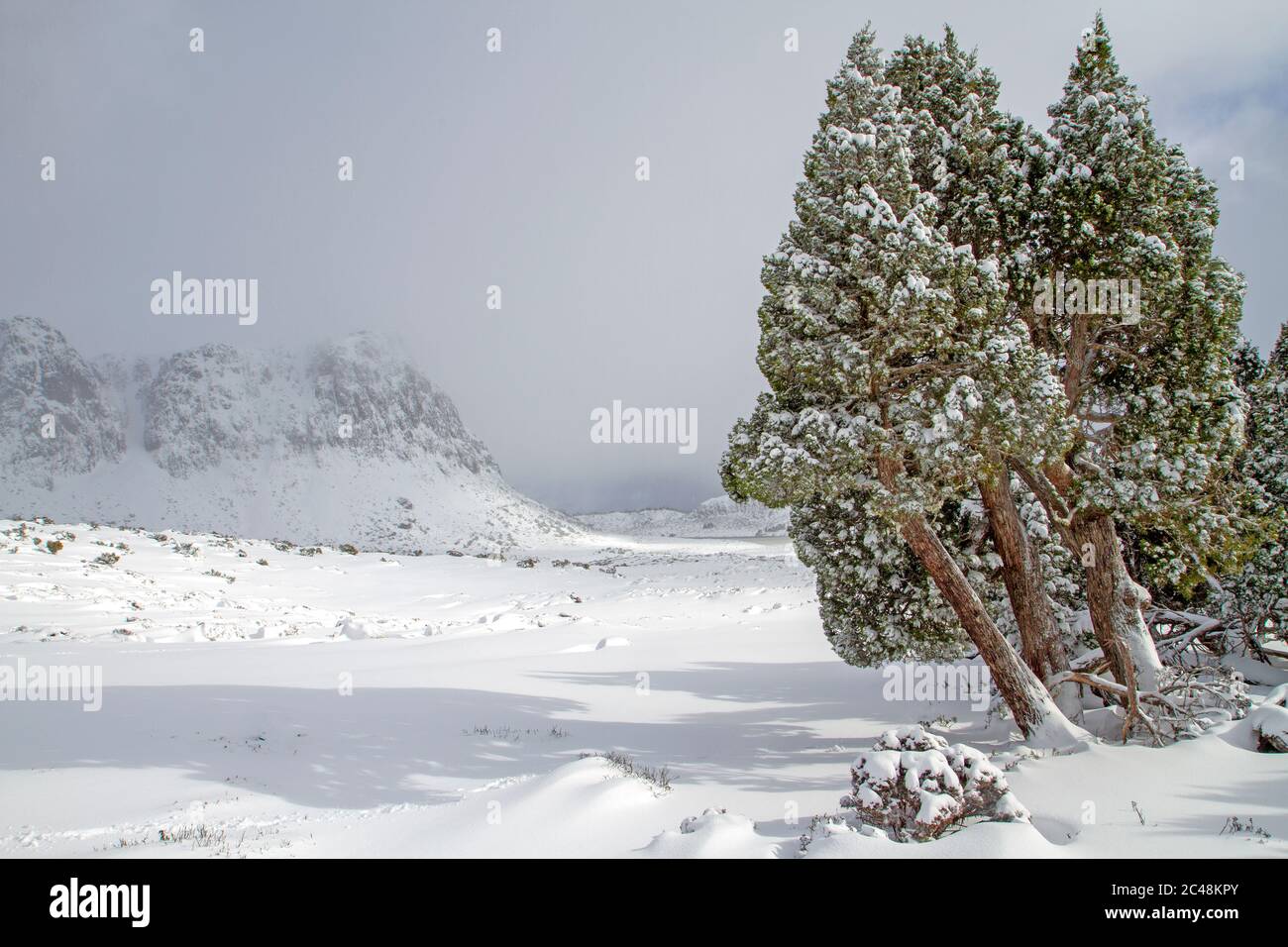Hiver dans le parc national des remparts de Jérusalem Banque D'Images