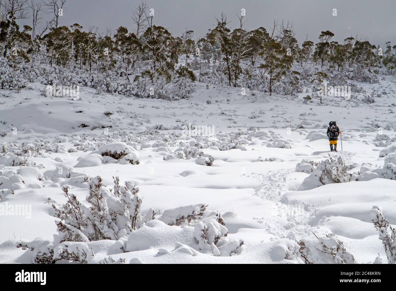 Hiver dans le parc national des remparts de Jérusalem Banque D'Images