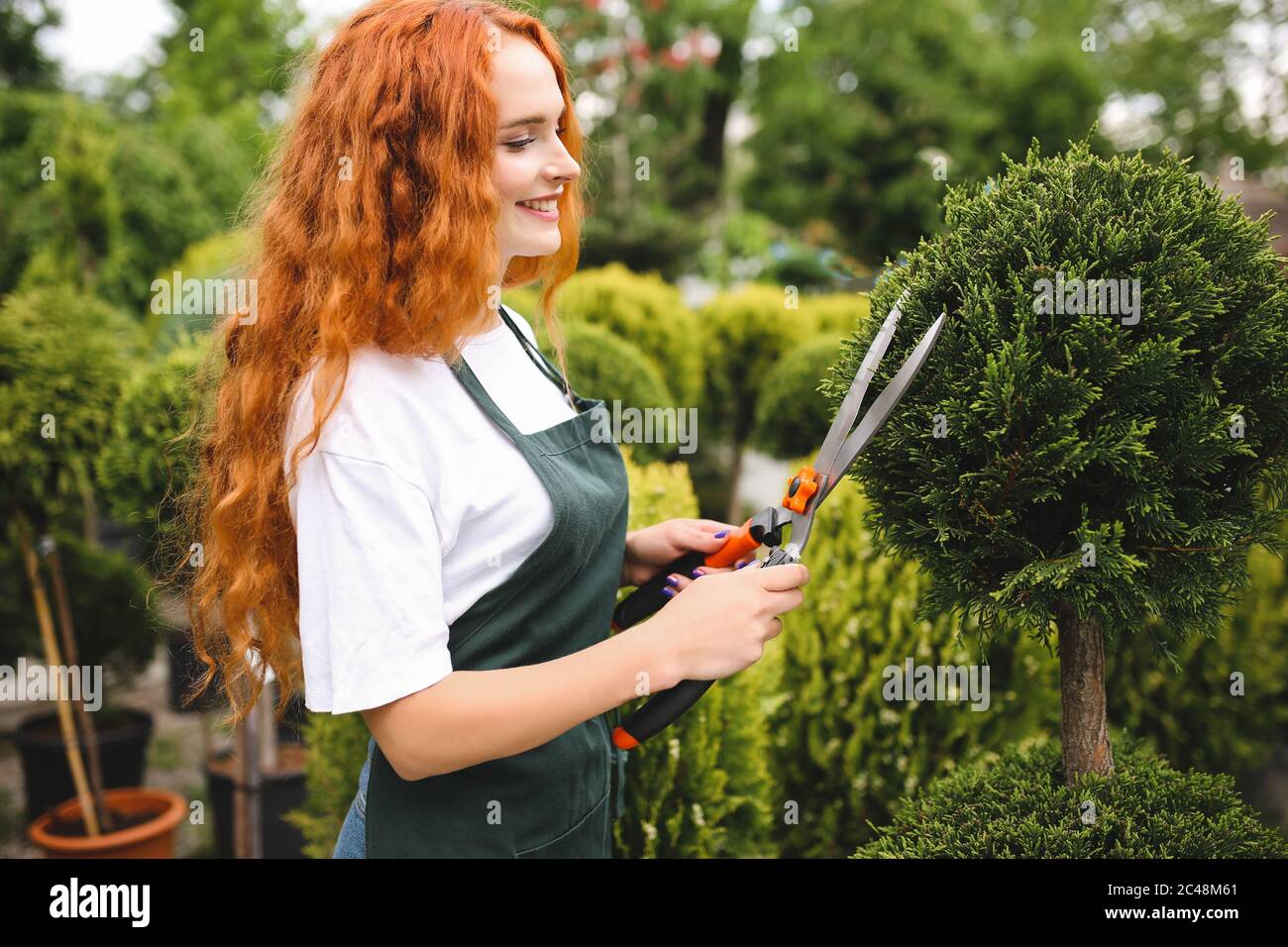 Belle femme souriante avec cheveux bouclés rouges debout dans un tablier et tenant de grandes ciseaux de jardin tout en travaillant à l'extérieur Banque D'Images