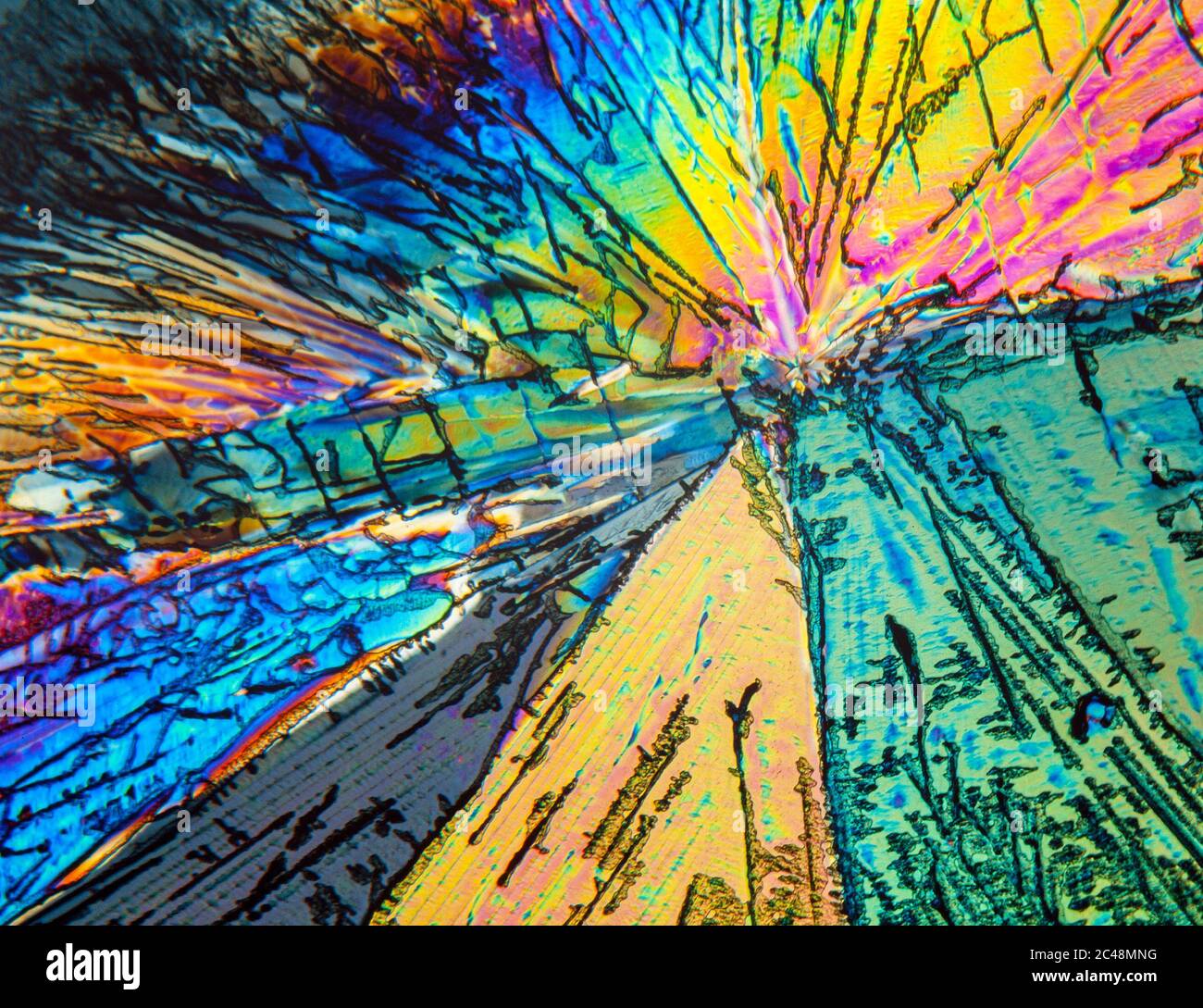 Section de lame cristallisée à l'acide cinnamique, éclairage polarisé croisé Banque D'Images