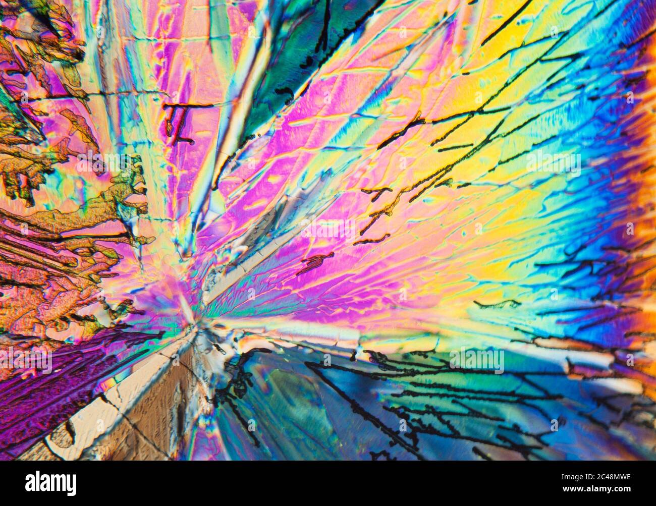 Section de lame cristallisée à l'acide cinnamique, éclairage polarisé croisé Banque D'Images
