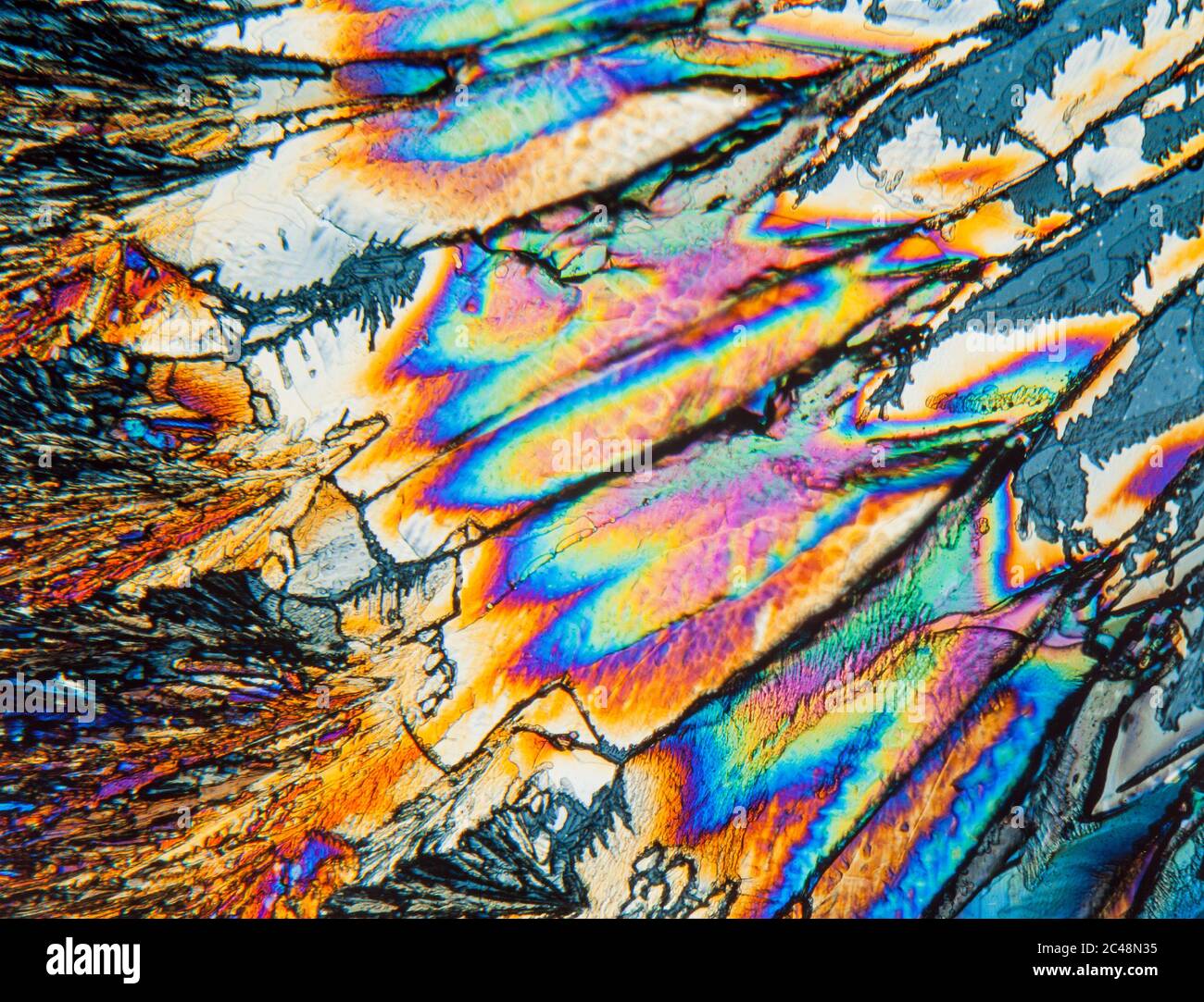 Section de lame cristallisée à l'acide tartrique, éclairage polarisé en croix Banque D'Images