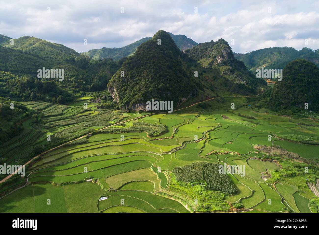 vue aérienne de la scène de champs de riz vert dans un village agricole Banque D'Images