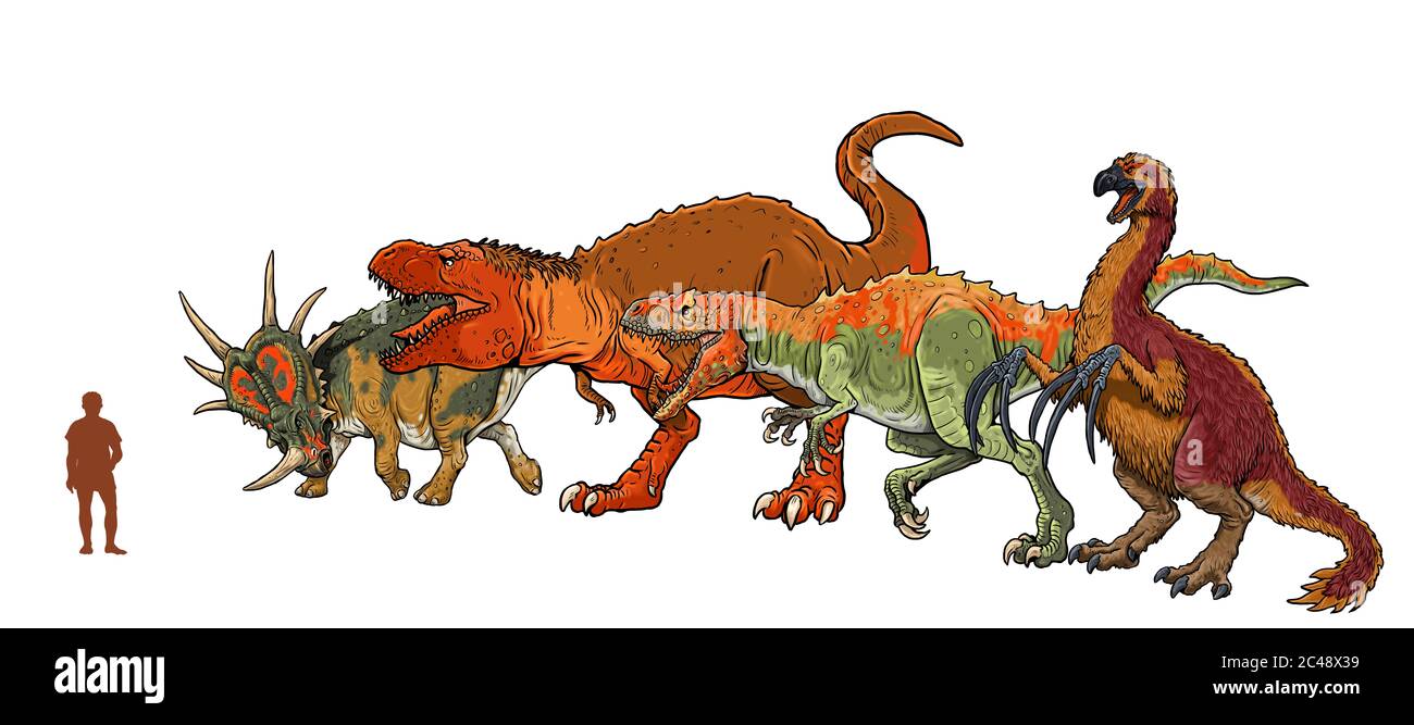 Lot de 4 dinosaures. Comparaison entre les dinosaures et l'homme. Tyrannosaurus rex, Styracosaurus, Allosaurus et Therizinosaurus. Banque D'Images