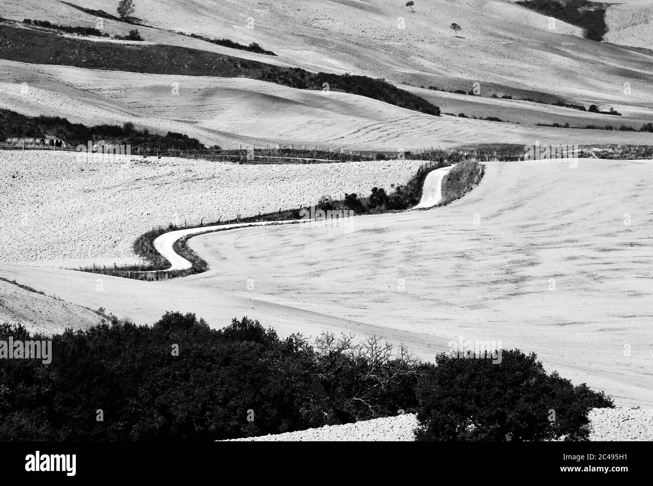 Vue sur le Val d'Orcia en Toscane, Italie Banque D'Images