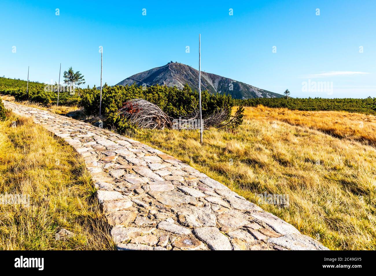 Montagne Snezka et route pavée dans les montagnes géantes, parc national de Krkonose, République tchèque. Banque D'Images