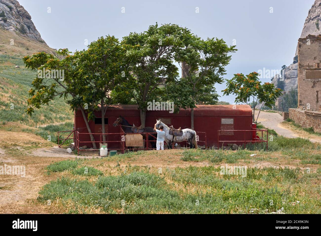 Sudak, République de Crimée - 30 juillet 2016 : petit écurie avec chevaux. Homme prenant soin des chevaux Banque D'Images