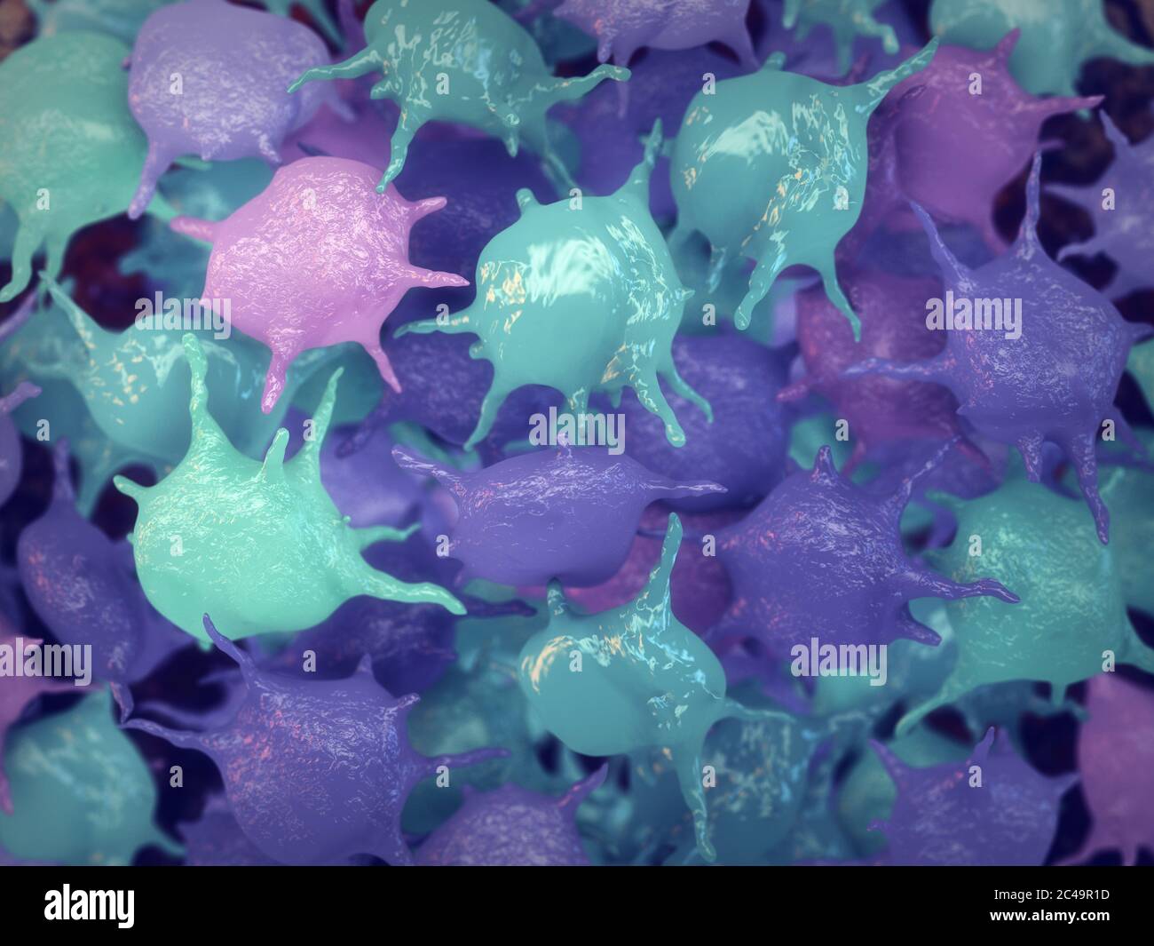 Les plaquettes appelées thrombocytes sont des cellules sanguines responsables de la fixation des vaisseaux sanguins endommagés en formant des caillots sanguins Banque D'Images