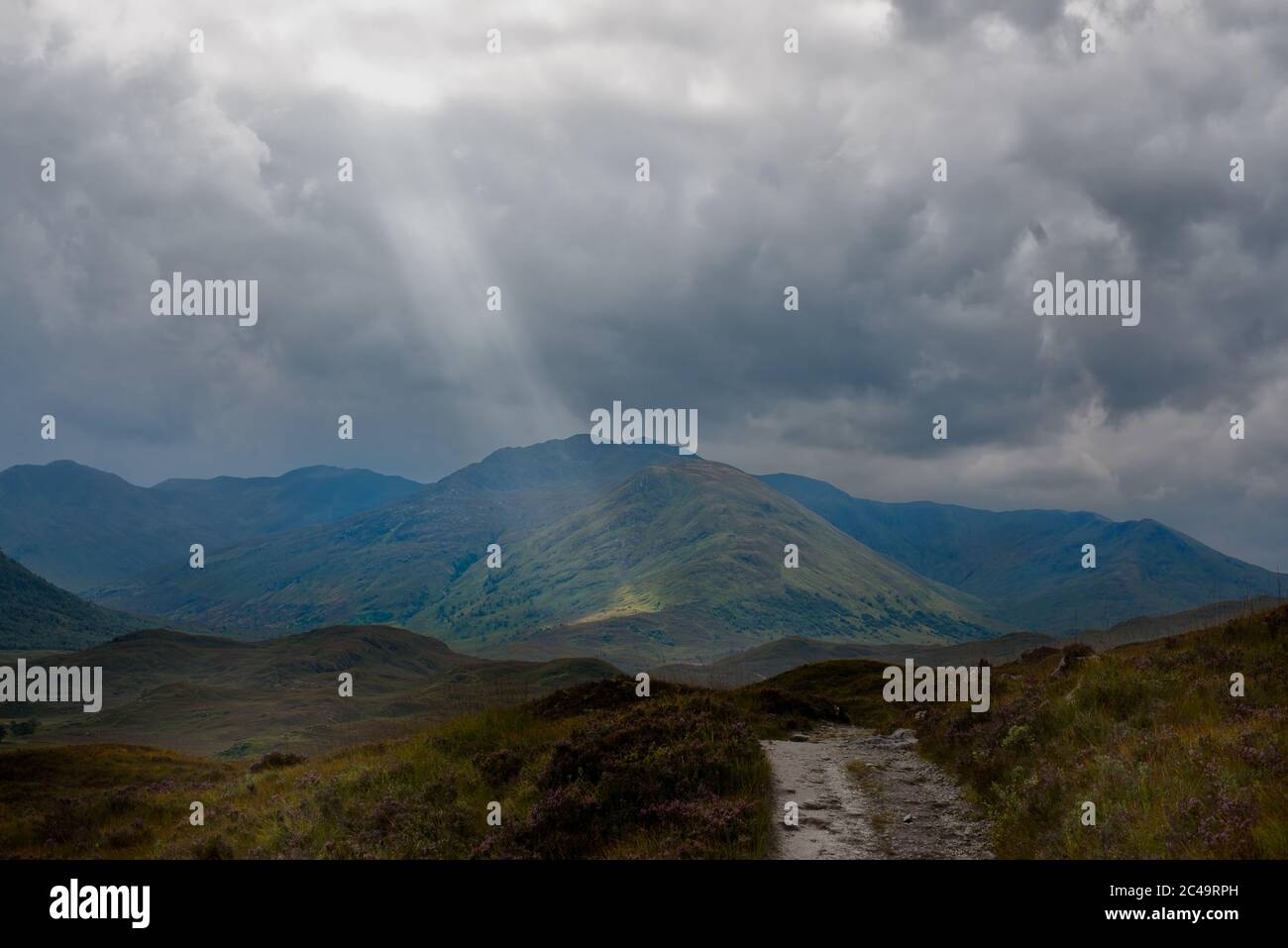 Un beau faisceau de soleil se brisait à travers le nuage dans la vallée pittoresque de Glen Affric. La vallée est nommée par le Loch Affric. Banque D'Images