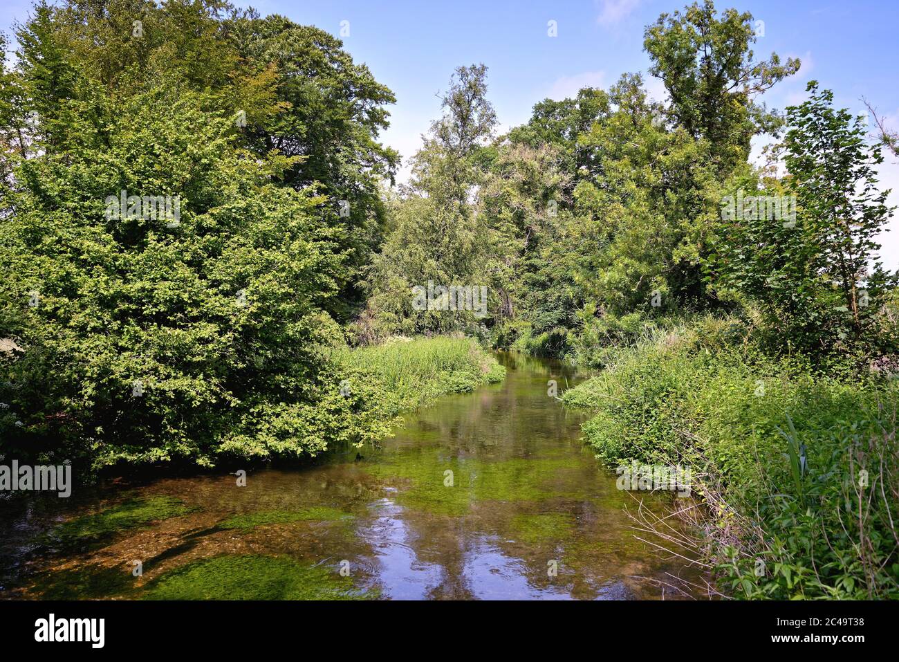 Le test de la rivière dans la campagne du Hampshire, le jour de l'été Angleterre Royaume-Uni Banque D'Images