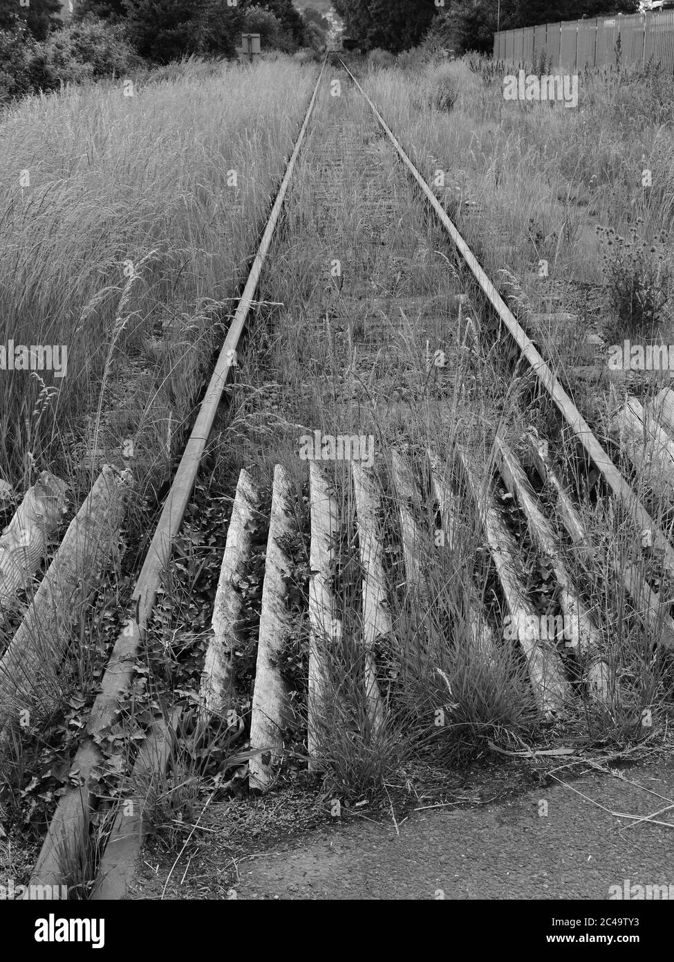 West Somerset Railway, Dunster Station, Somerset UK, voies ferrées surcultivées, de Dunster à Minehead, noir et blanc Banque D'Images