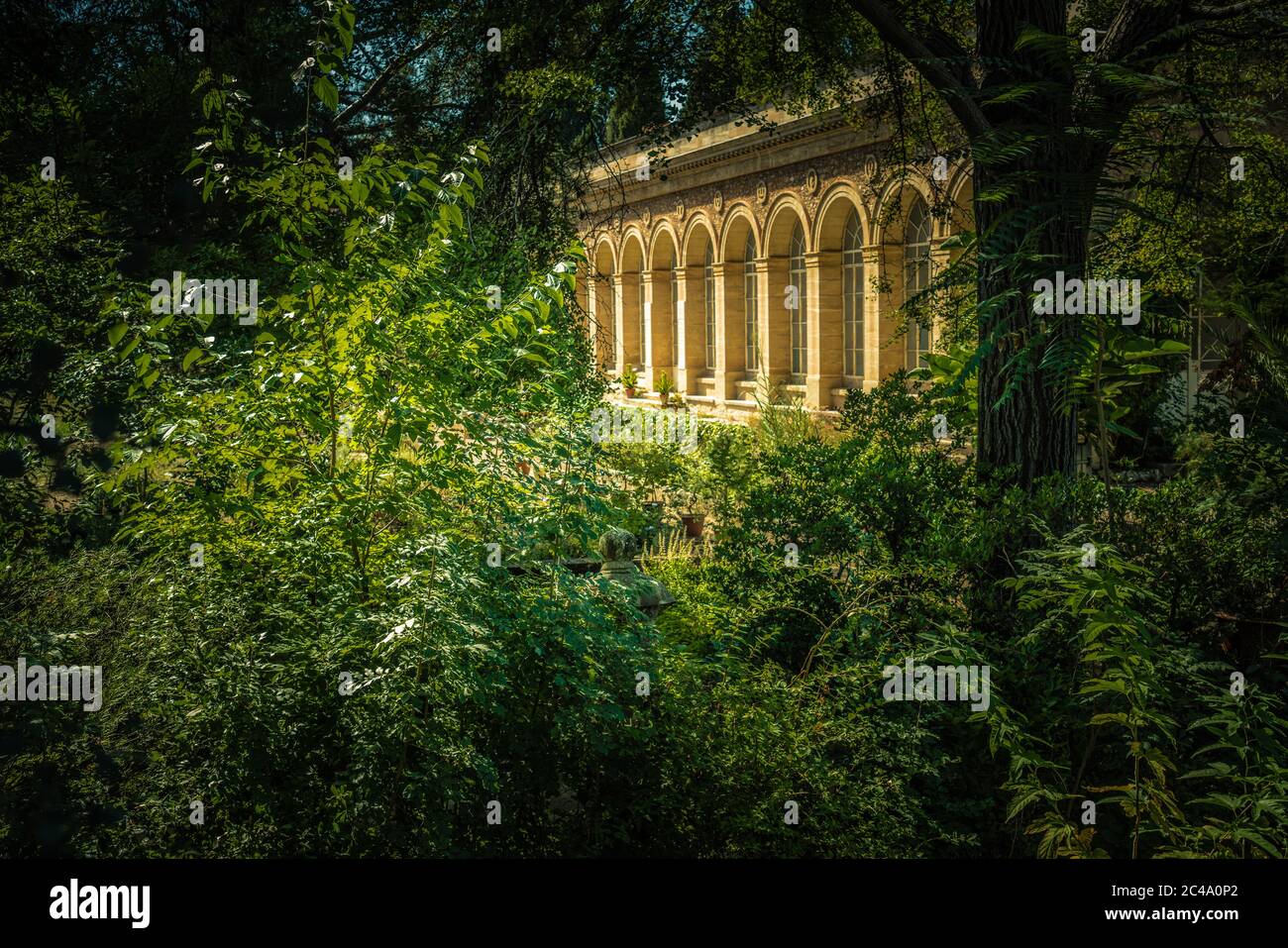L'orangerie du jardin historique des plantes de Montpellier a été conçue par Claude-Mathieu Delagardette (1762-1805) et achevée en 1804. Banque D'Images