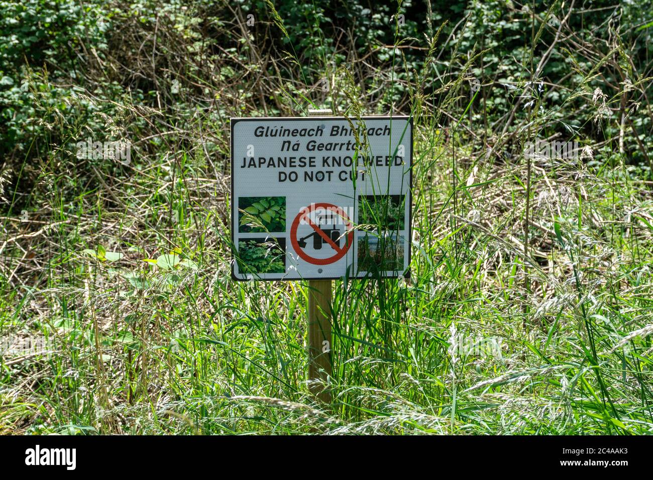 Un avertissement concernant les dangers de la coupe de l'herbe à nœuds dans Waterstown Park, Palmerstown, dublin. Banque D'Images