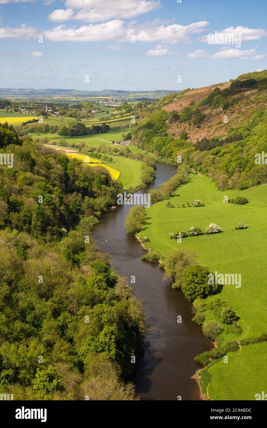 Vue sur la vallée de Wye Symonds Yat Rock, Symonds Yat, forêt de Dean, Herefordshire, Angleterre, Royaume-Uni, Europe Banque D'Images