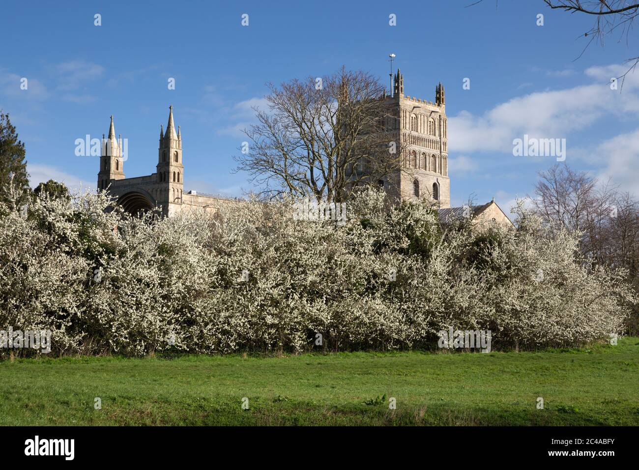 Abbaye de St Mary la Vierge (Abbaye de Tewkesbury), Tewkesbury, Gloucestershire, Angleterre, Royaume-Uni, Europe Banque D'Images
