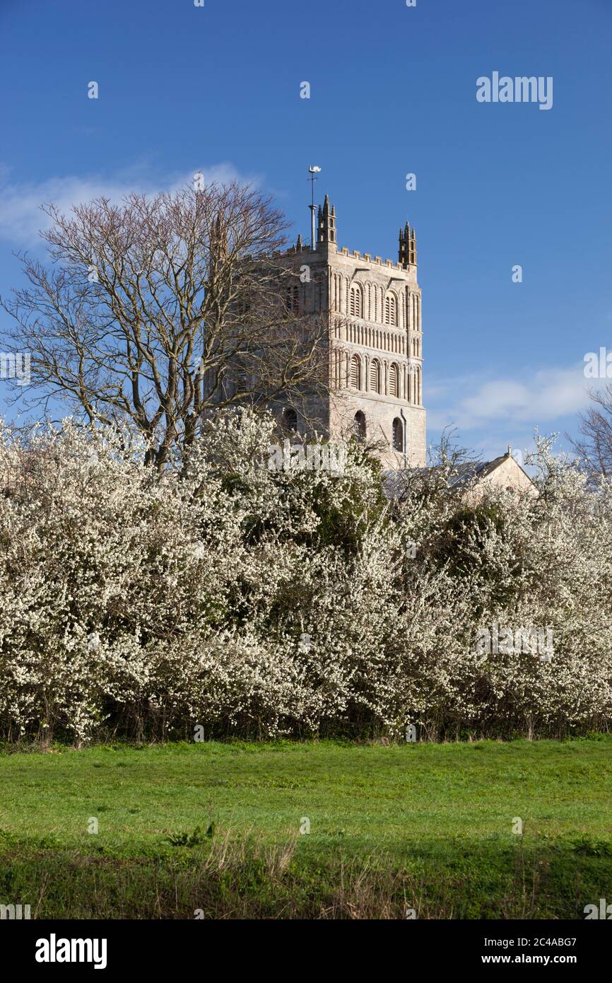 Abbaye de St Mary la Vierge (Abbaye de Tewkesbury), Tewkesbury, Gloucestershire, Angleterre, Royaume-Uni, Europe Banque D'Images