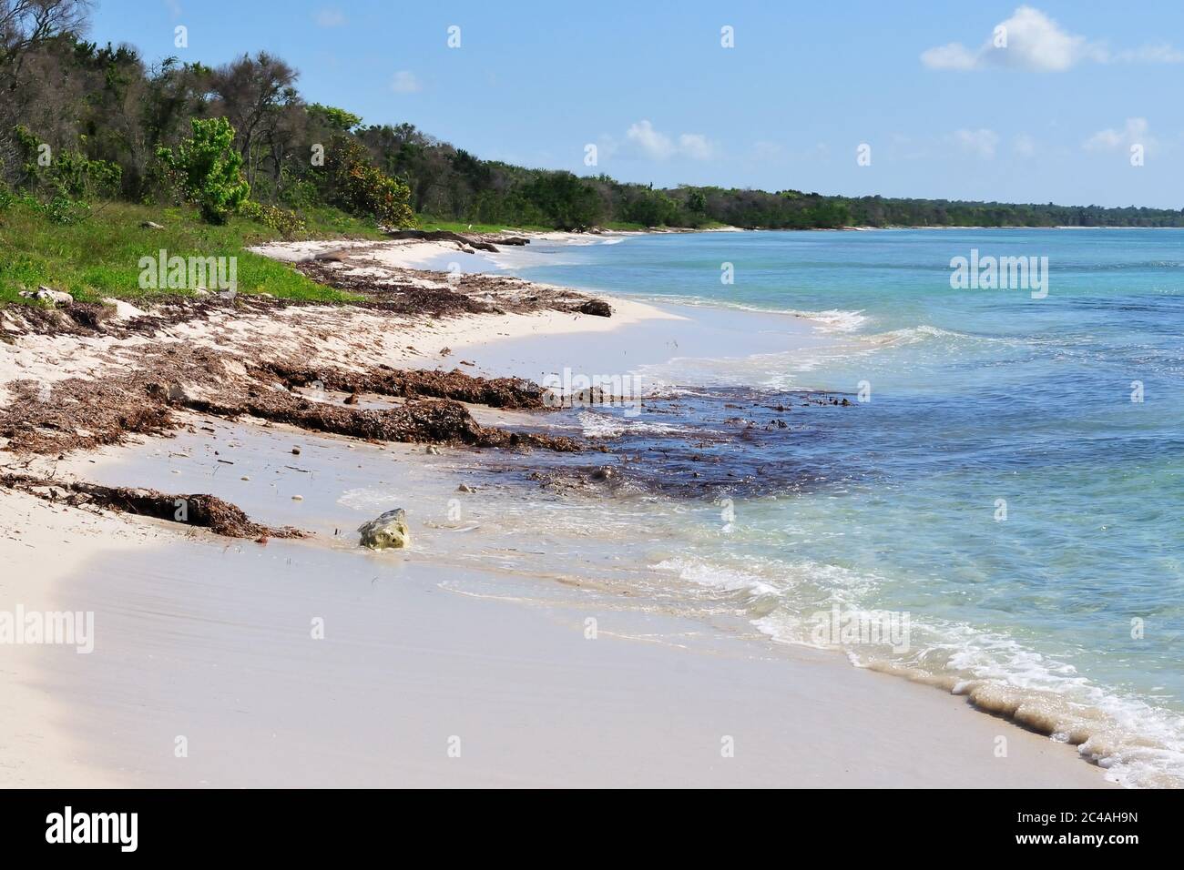 La vue sur la belle plage tropicale vide dans le parc national est, près de Bayahibe, République dominicaine Banque D'Images