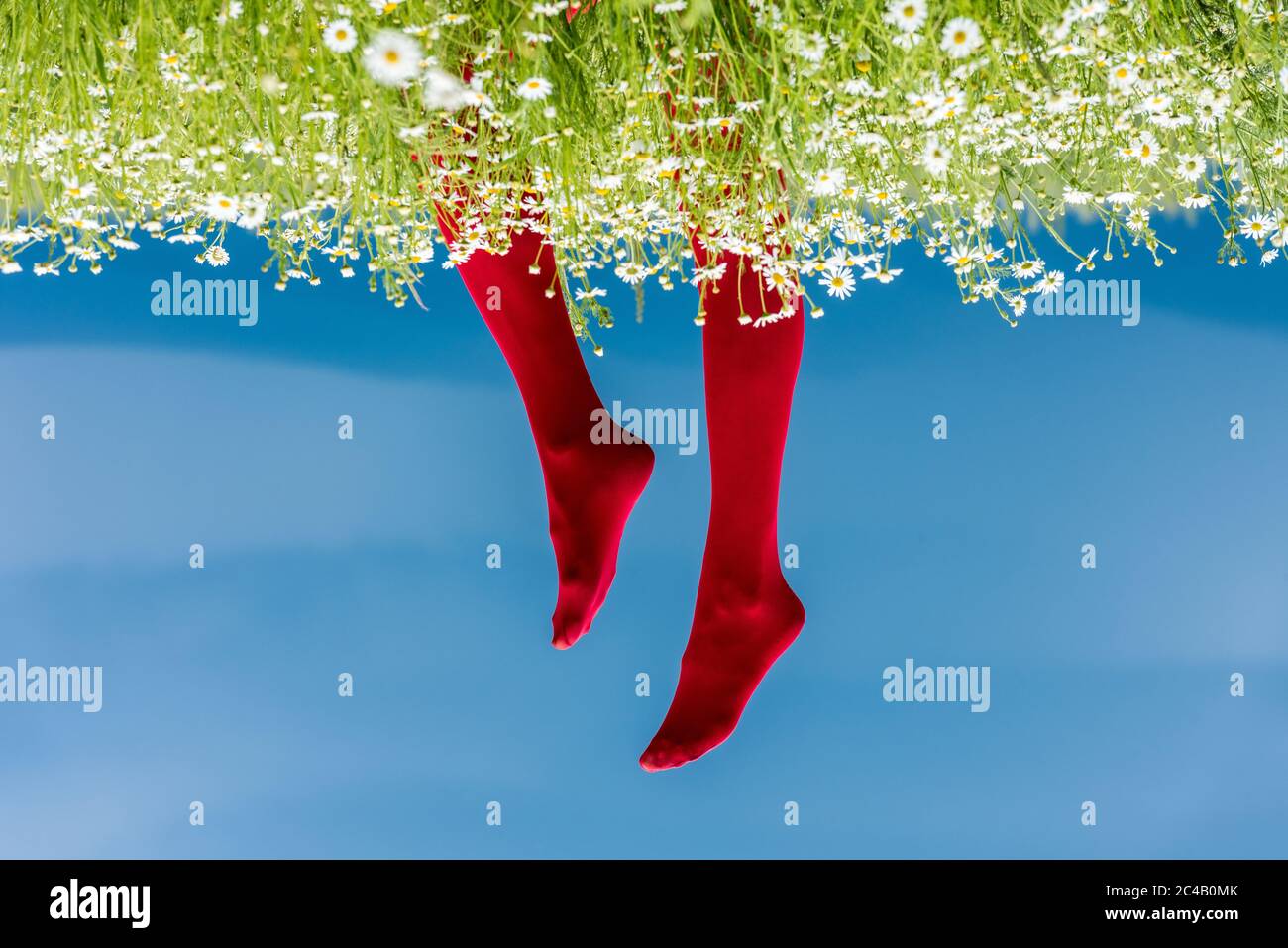 Image conceptuelle avec une femme jambes dans des bas rouges sur un champ de pâquerettes - contre le ciel bleu. Banque D'Images