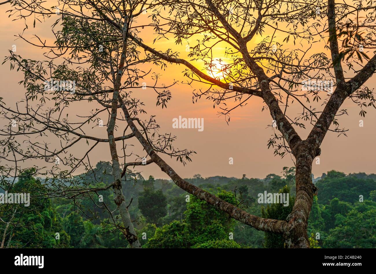 Amazone aérienne paysage de la forêt tropicale au coucher du soleil comprenant les pays Brésil, Pérou, Equateur, Suriname, Guyana (français), Bolivie, Venezuela, Colombie. Banque D'Images