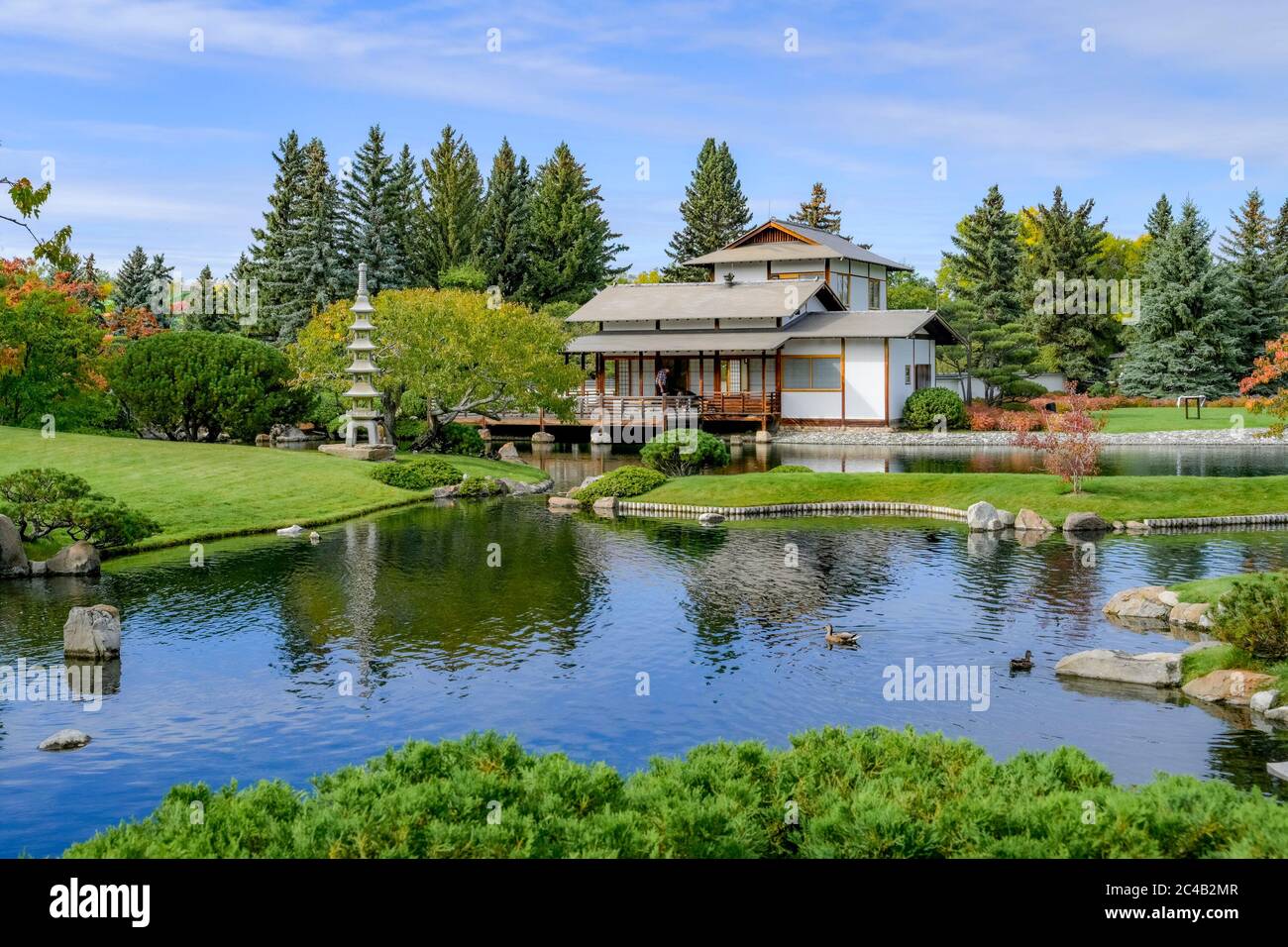 Étang, jardin japonais Nikka Yuko, Lethbridge, Alberta, Canada Banque D'Images