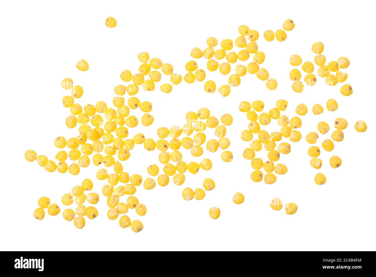 Millet isolé sur fond blanc. Vue d'en haut Banque D'Images