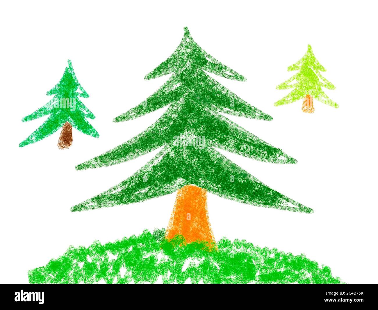 Illustration naïve, dessin d'enfants, conifères, Allemagne Banque D'Images